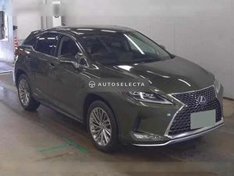 Lexus RX 2019, photo 1 of 1