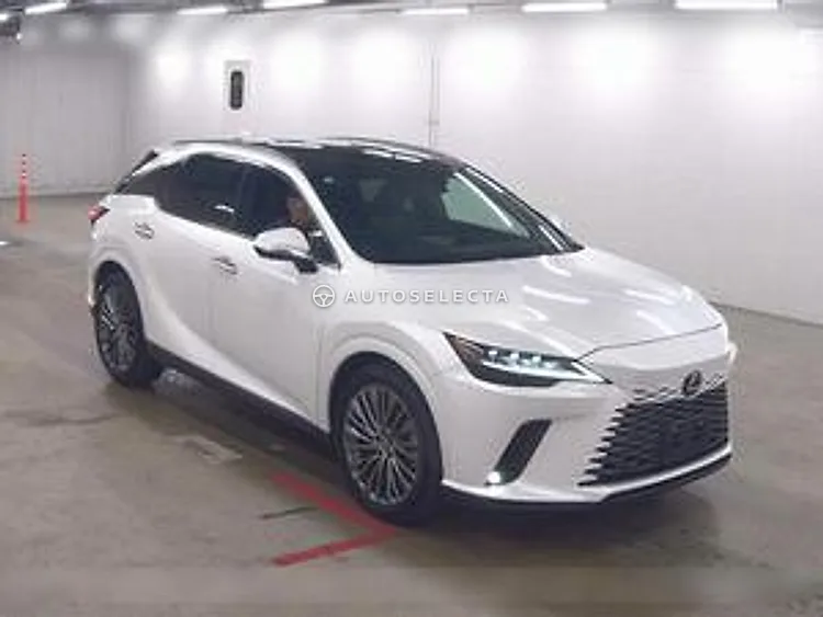 Lexus RX 2023, photo 1 of 1