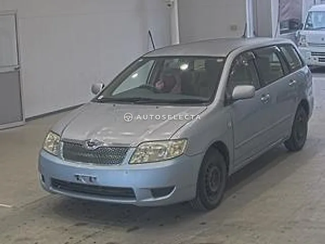 Toyota Corolla Fielder 2006, auction grade RA