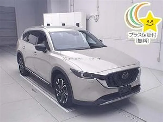 Mazda CX-8 2023, auction grade 4.5