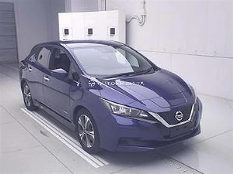 Nissan Leaf 2019, photo 1 of 1