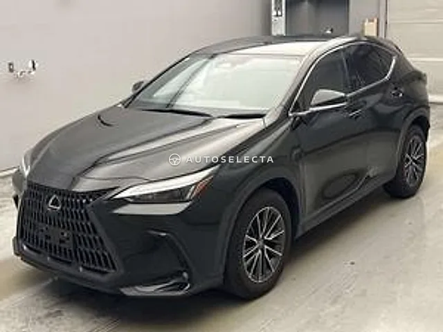 Lexus NX 2023, auction grade 4.5