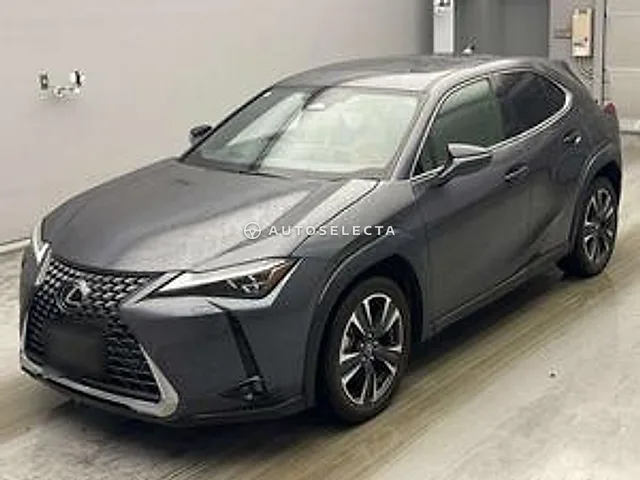 Lexus UX 2024, auction grade 4.5
