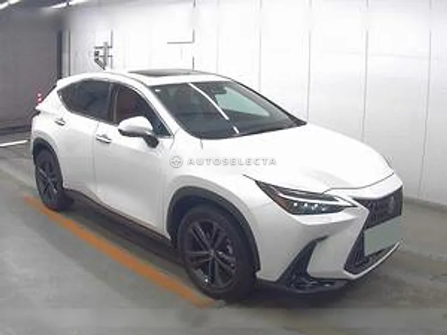 Lexus NX 2023, auction grade 5