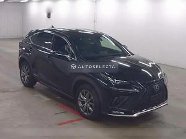 Lexus NX 2019, auction grade 4.5