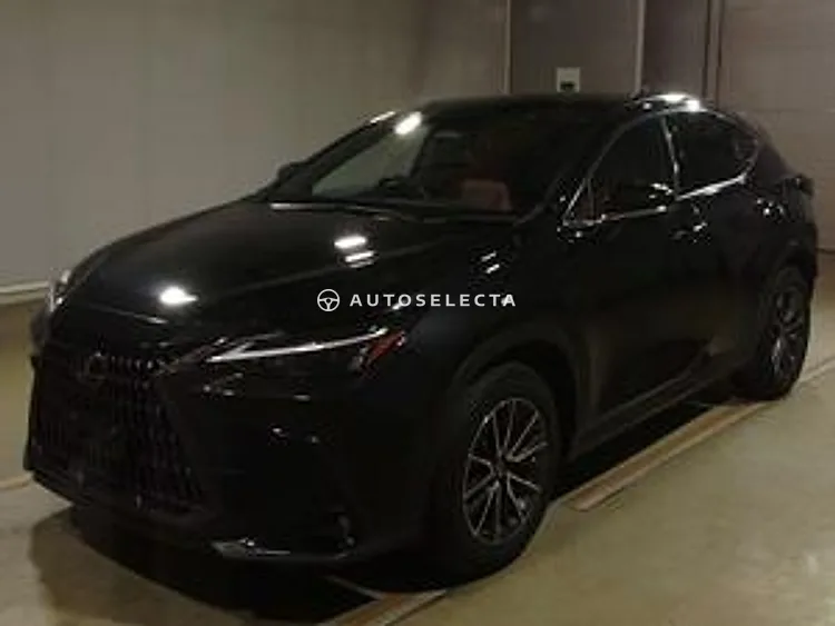 Lexus NX 2023, photo 1 of 1
