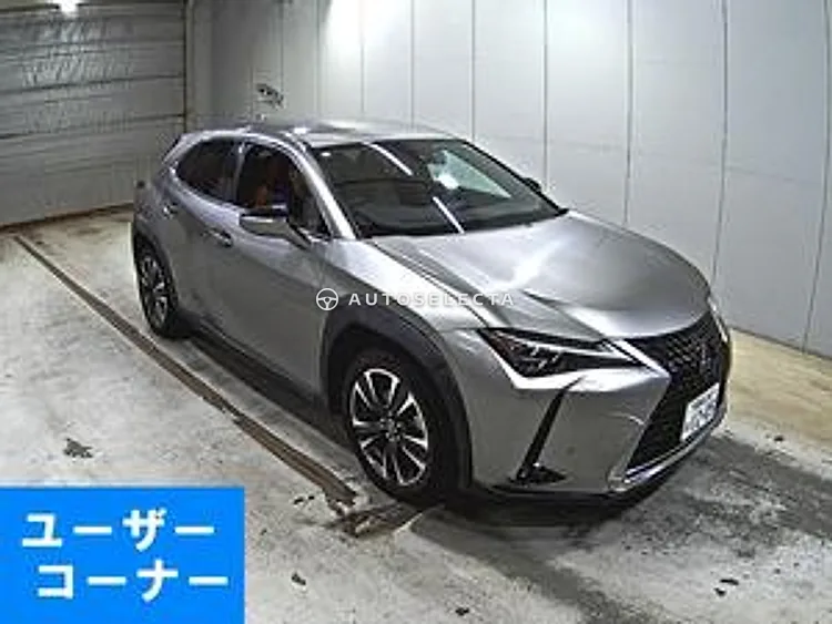 Lexus UX 2019, photo 1 of 1