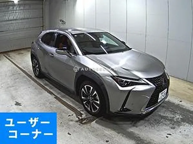 Lexus UX 2019, auction grade 4.5
