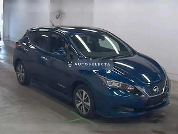 Nissan Leaf 2019, photo 1 of 1