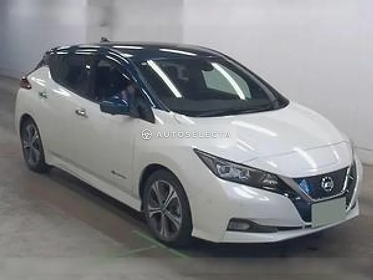 Nissan Leaf 2020, photo 1 of 1