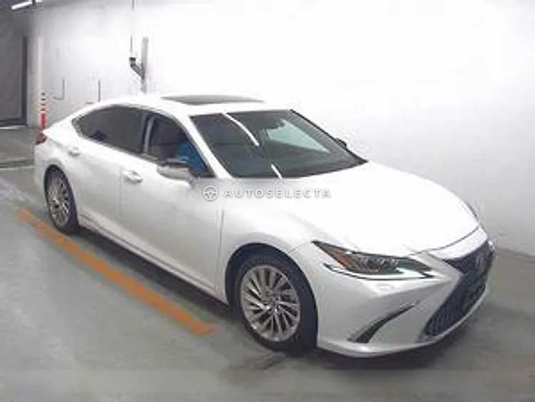 Lexus 2019, photo 1 of 1