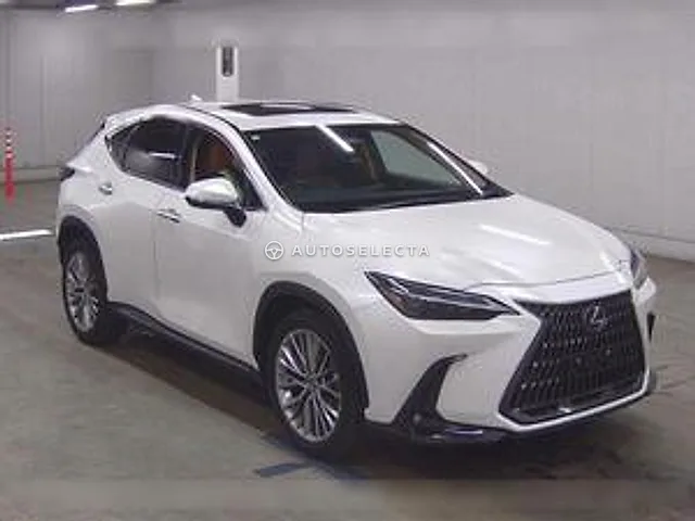 Lexus NX 2023, auction grade 3.5