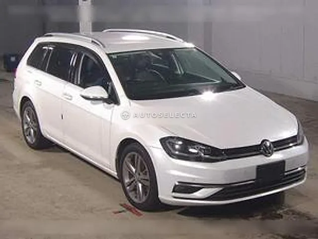 Volkswagen Golf Variant 2019, auction grade 4.5