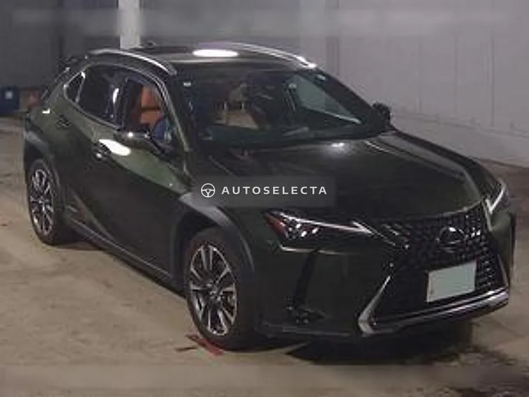 Lexus UX 2021, photo 1 of 1