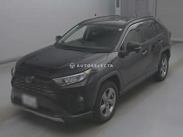 Toyota RAV4 2019, auction grade R