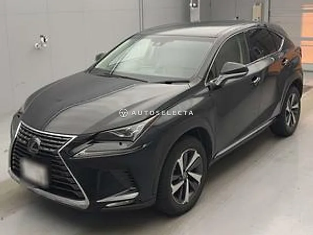 Lexus NX 2018, auction grade 4