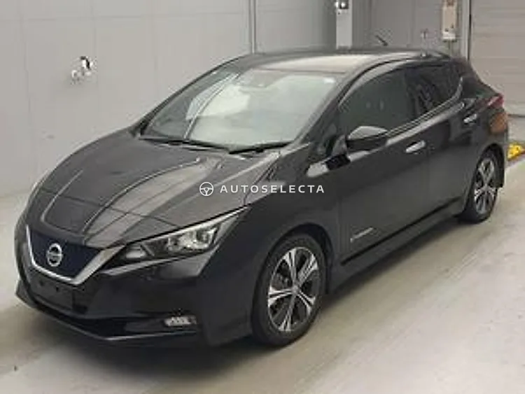 Nissan Leaf 2019, photo 1 of 1