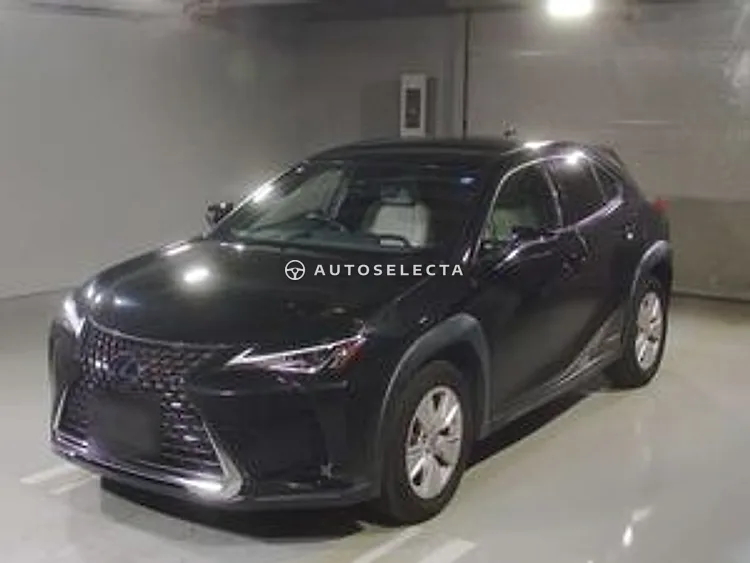 Lexus UX 2019, photo 1 of 1