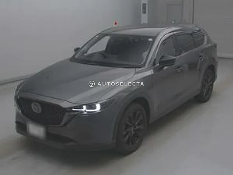 Mazda CX-8 2023, photo 1 of 1