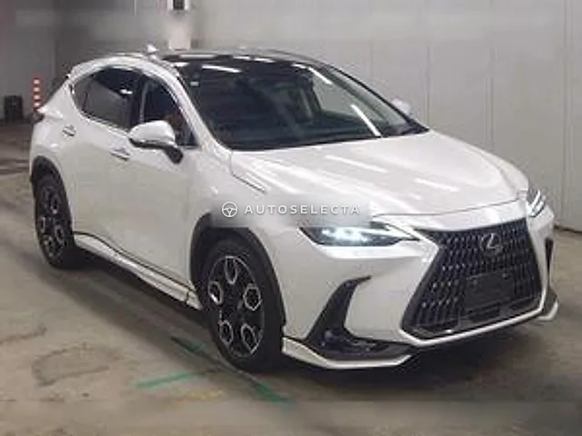 Lexus NX 2023, auction grade 5