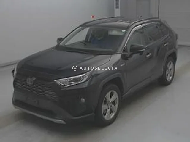 Toyota RAV4 2019, auction grade RA