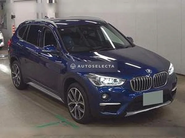BMW X1 2019, auction grade 4.5