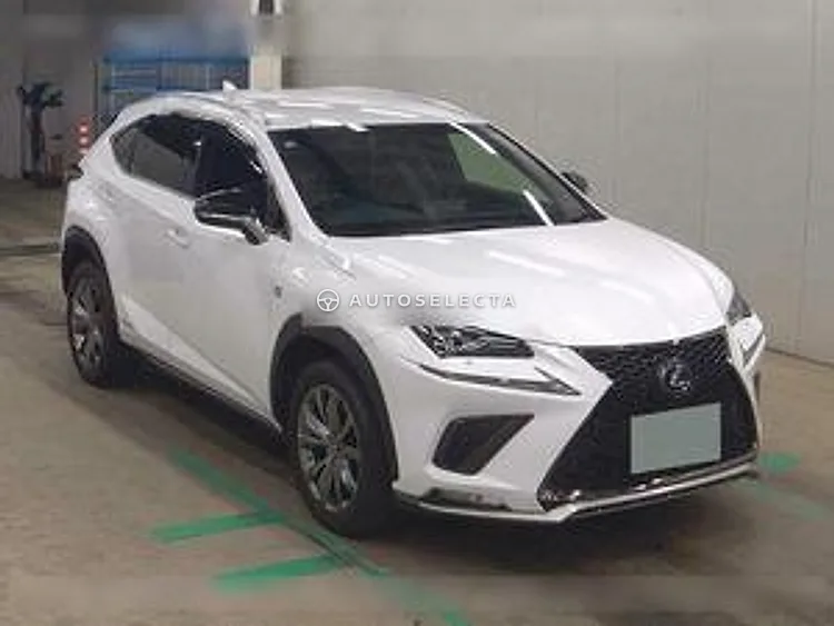 Lexus NX 2019, photo 1 of 1