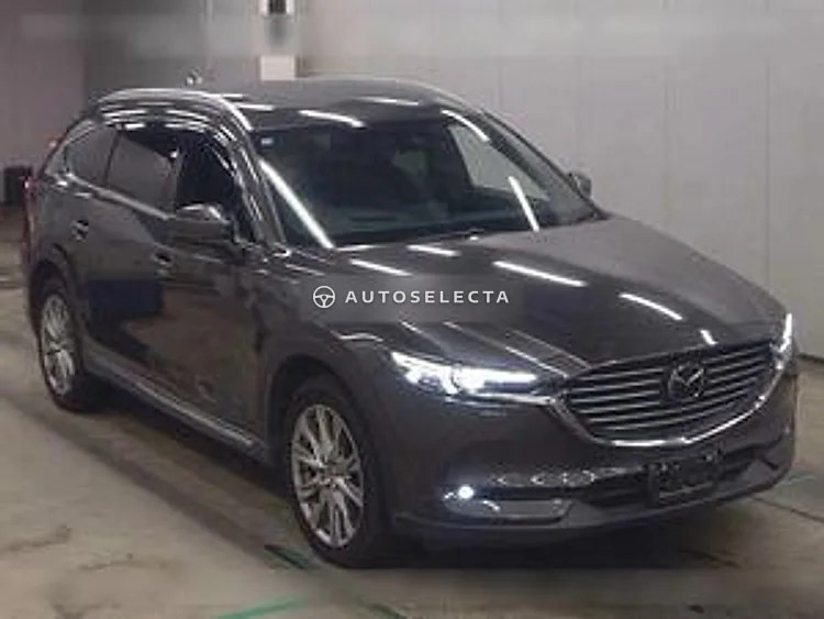 Mazda CX-8 2018, photo 1 of 1