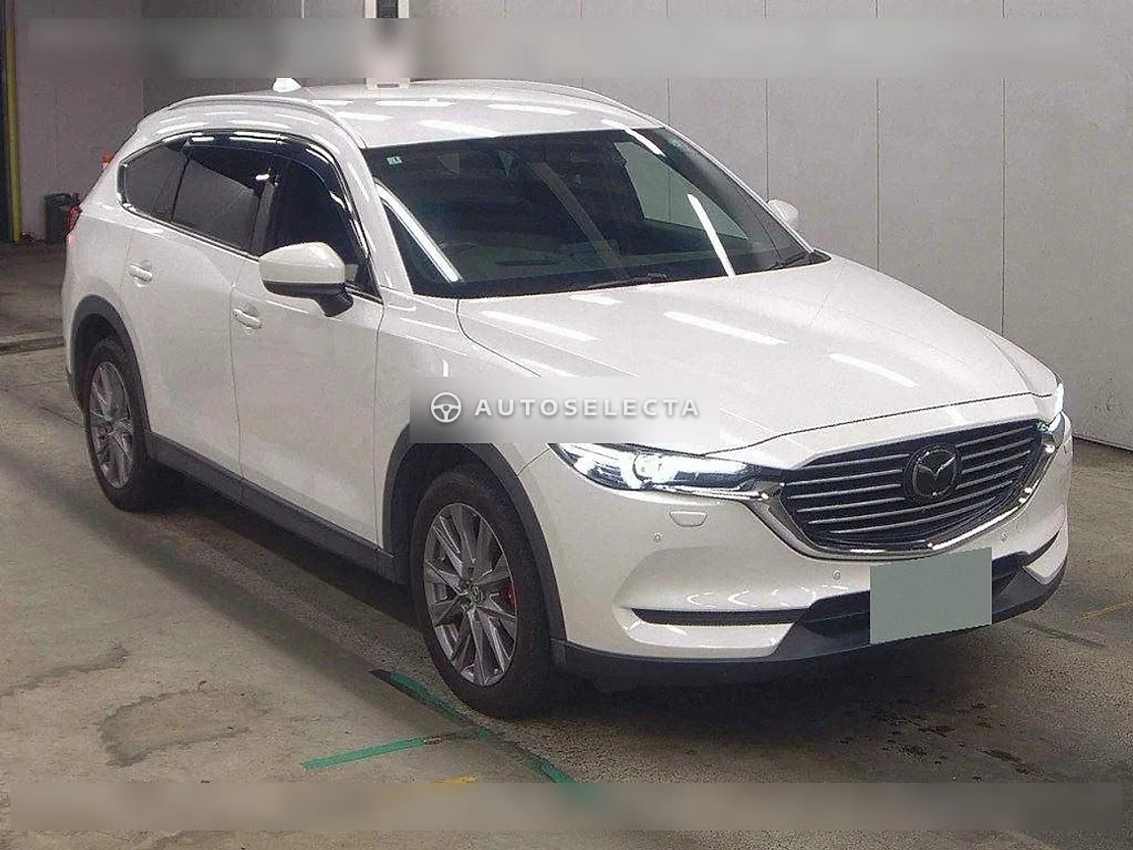 Mazda CX-8 2019, photo 1 of 1
