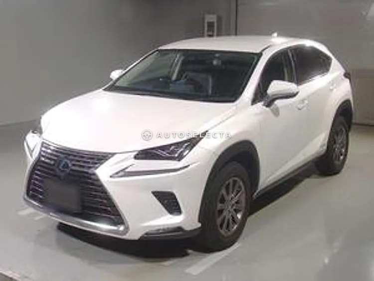 Lexus NX 2019, photo 1 of 2