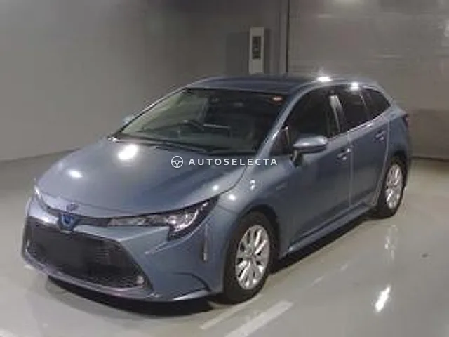 Toyota Corolla Wagon 2019, auction grade 3.5