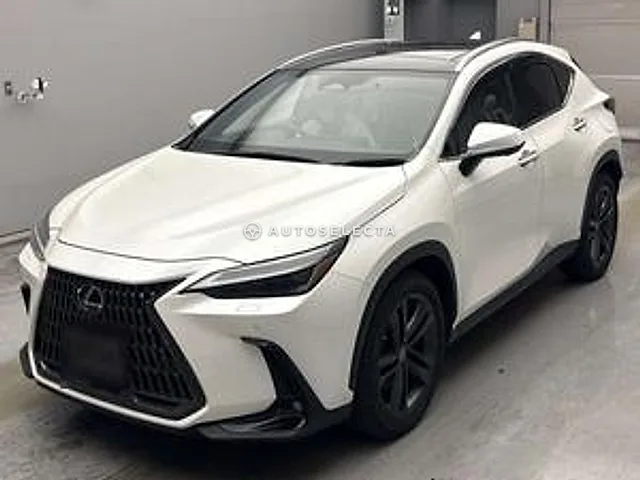 Lexus NX 2021, auction grade 4