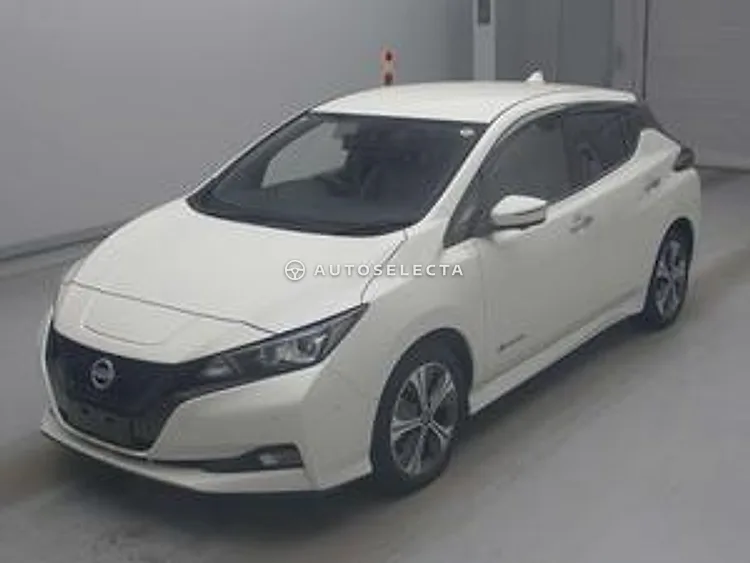 Nissan Leaf 2021, photo 1 of 1