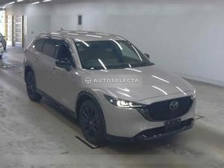 Mazda CX-8 2023, photo 1 of 1