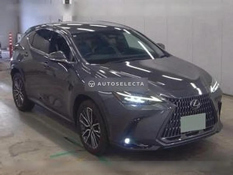 Lexus NX 2022, photo 1 of 6