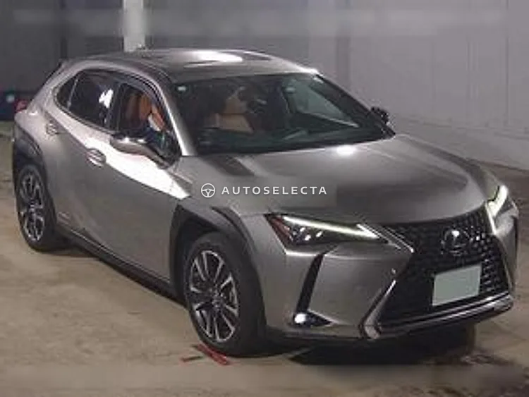 Lexus UX 2022, photo 1 of 6