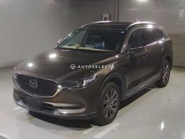 Mazda CX-8 2022, auction grade 4.5