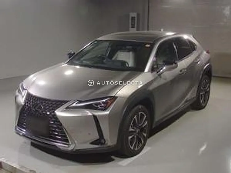 Lexus UX 2022, photo 1 of 1