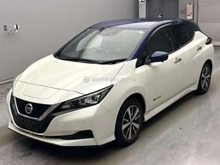Nissan Leaf 2020, photo 1 of 1