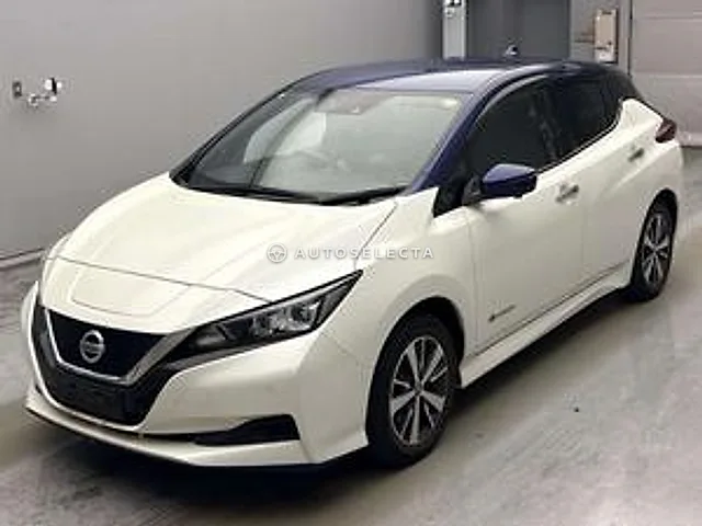 Nissan Leaf 2020, auction grade 4