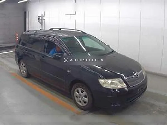 Toyota Corolla Fielder 2005, auction grade 3