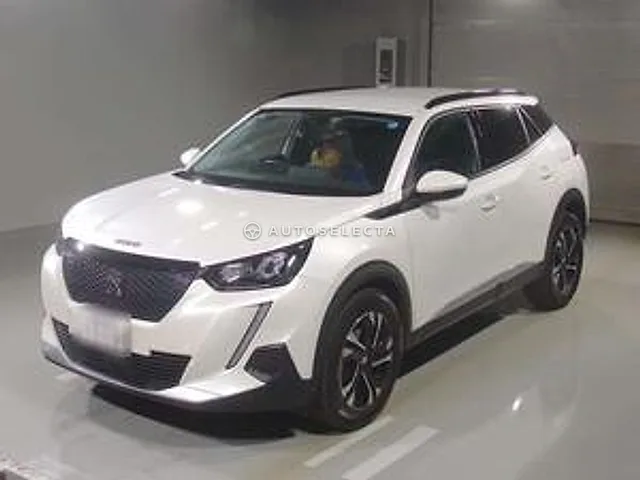 Peugeot 2008 2020, auction grade 4