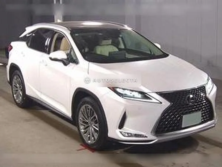 Lexus RX 2021, photo 1 of 1