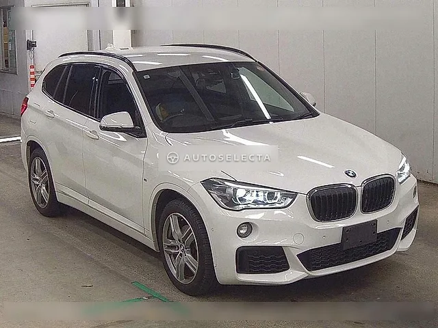 BMW X1 2019, auction grade 5