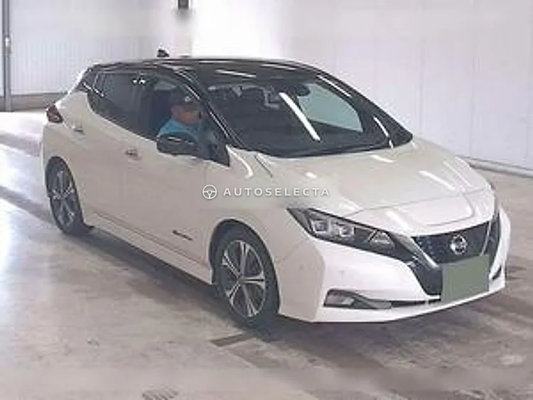 Nissan Leaf 2020, photo 1 of 1
