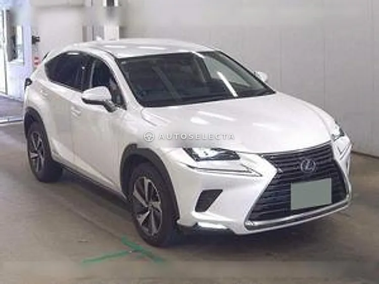 Lexus NX 2020, photo 1 of 1