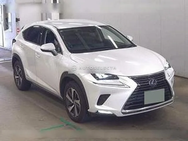 Lexus NX 2020, auction grade 4.5
