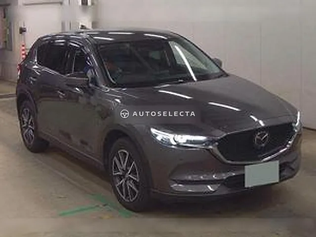 Mazda CX-5 2019, auction grade 4.5