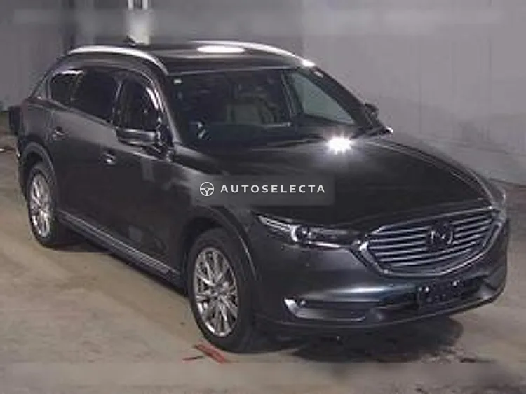 Mazda CX-8 2018, photo 1 of 1