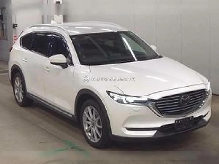 Mazda CX-8 2019, photo 1 of 1